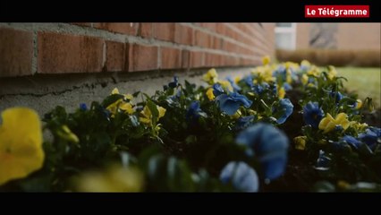 Le vieux qui ne voulait pas fêter son anniversaire - Bande annonce