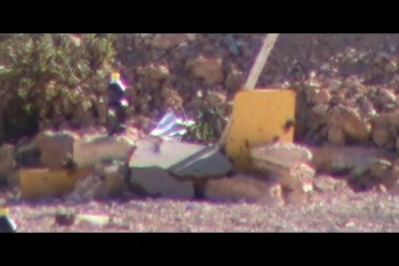 Hatsan BT 65 SB Elite Atış Testleri