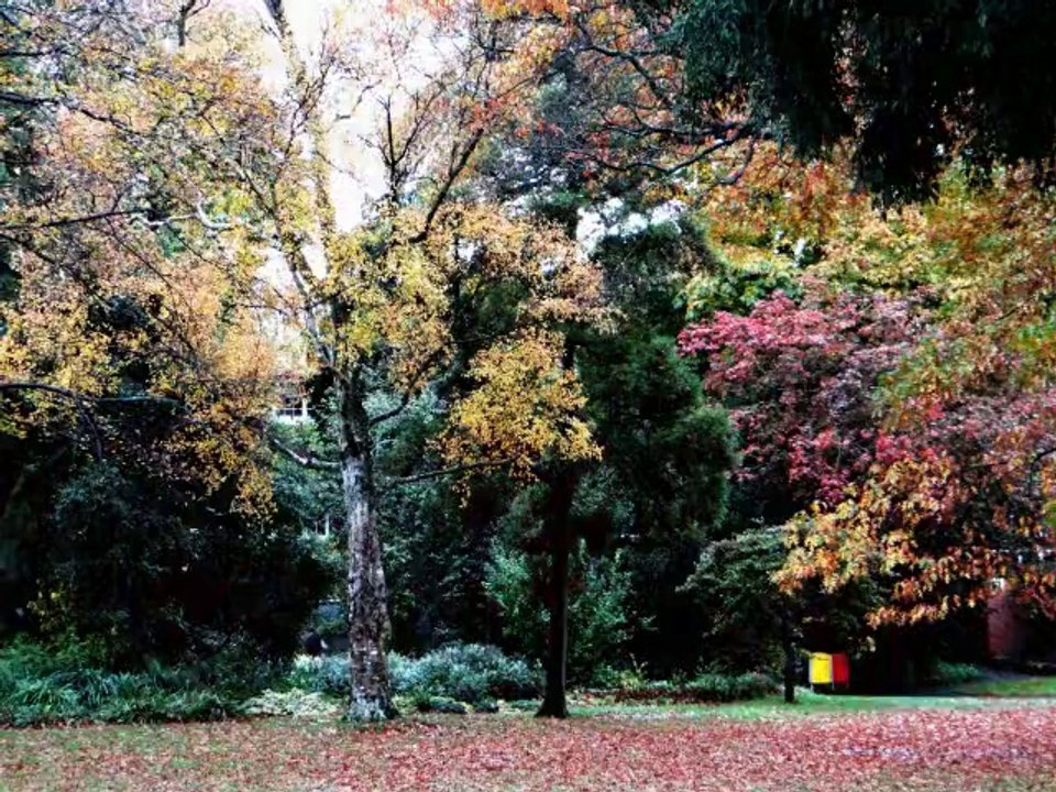 2014-04-22 - From Christchurch To Hanmer Spring