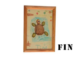 Tableau petite tortue