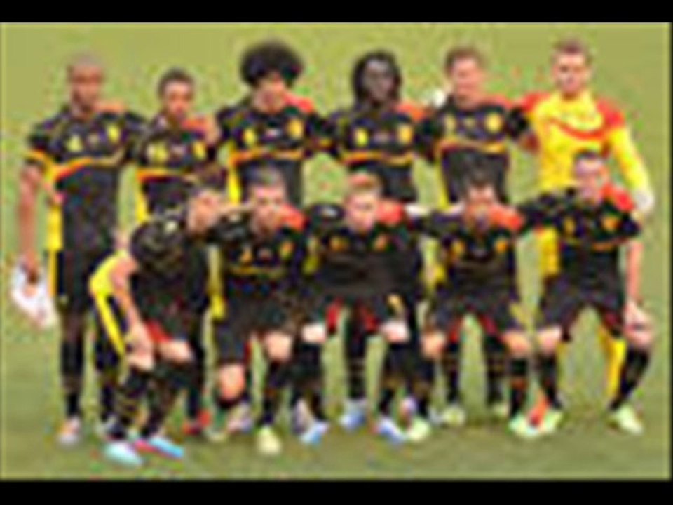 Fifa Worldcup 2014 qualified