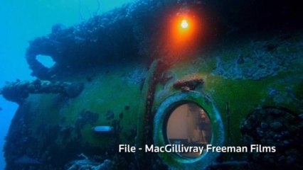 Cousteau's grandson to take 31-day "epic" underwater plunge