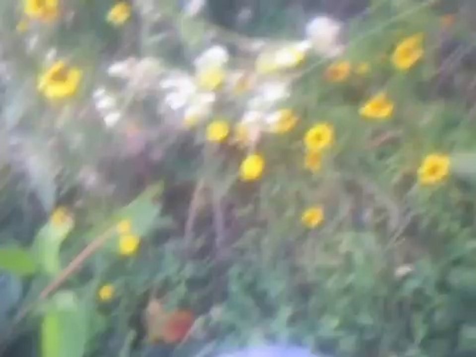 nature et psychisme