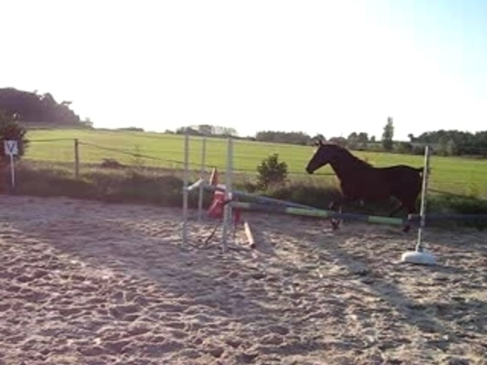 Caïda_saut