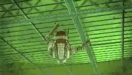 Dementium II Game Trailer #2