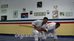 Aikido Examen Shodan (1 Dan) - Part II - Tachi Dori - Aikido Shodan Examination - Aikido Shodan Teste - Aikido Shodan Test