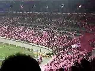Stade français - Stade toulousain