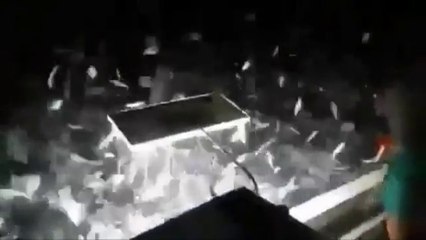 fishing with dynamite in Lebanon..."the most normal thing in the world"