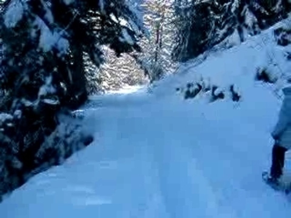 Raquettes Fournel - Janvier 2007