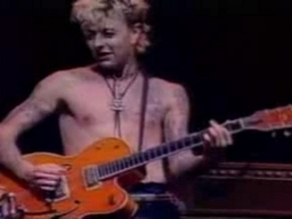 THE STRAY CATS
