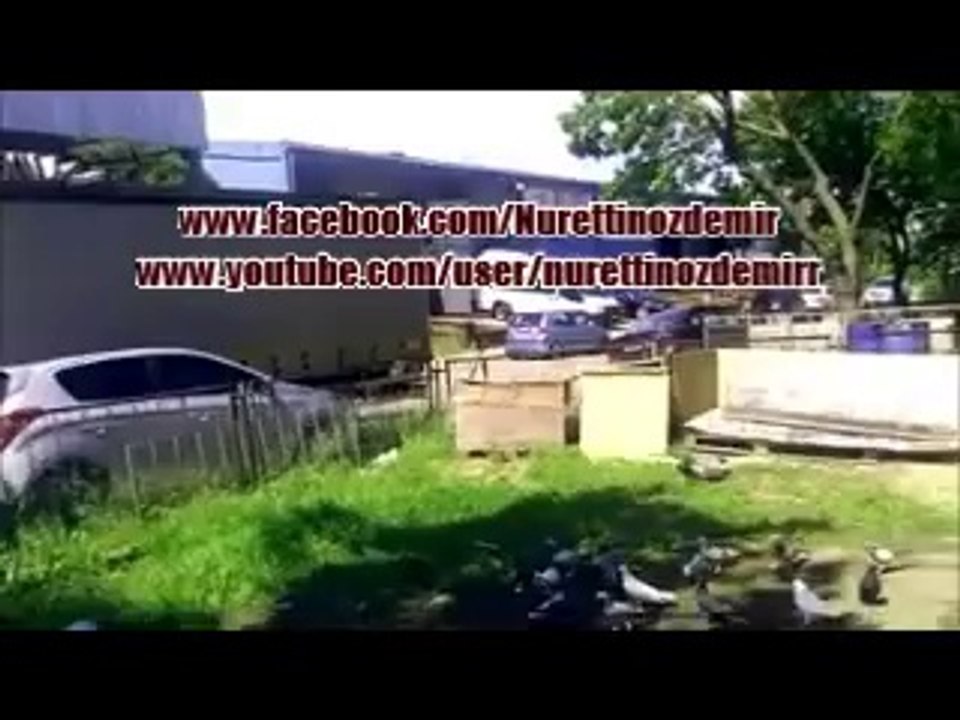 Güvercin Besleme Hastaligi Bilhakis Bendede Vardir(Nurettin Özdemir)