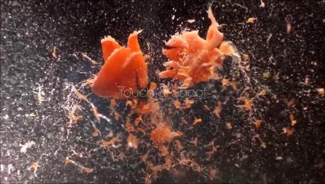 LG G3 Tanıtım Videosu - Türkçe Altyazılı