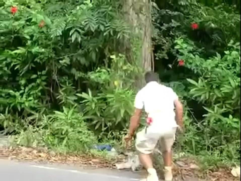 مخلوق غريب ! سبحان الله