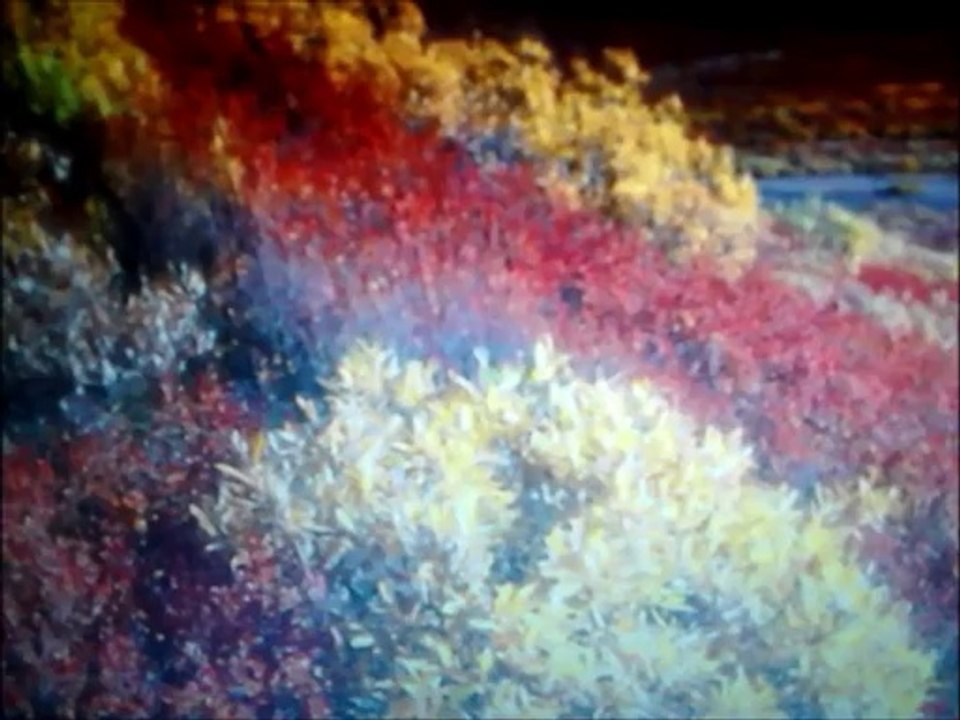 Alaska folk music with scenes of Alaska