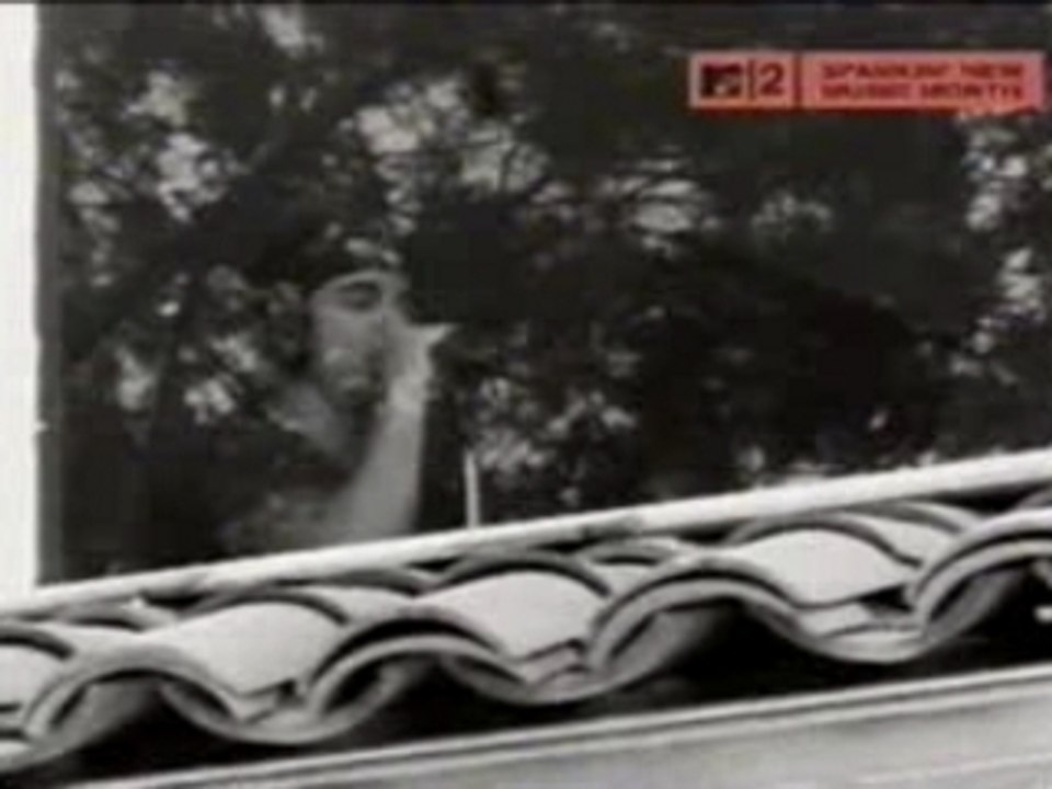 Red Hot Chili Peppers - Suck My Kiss