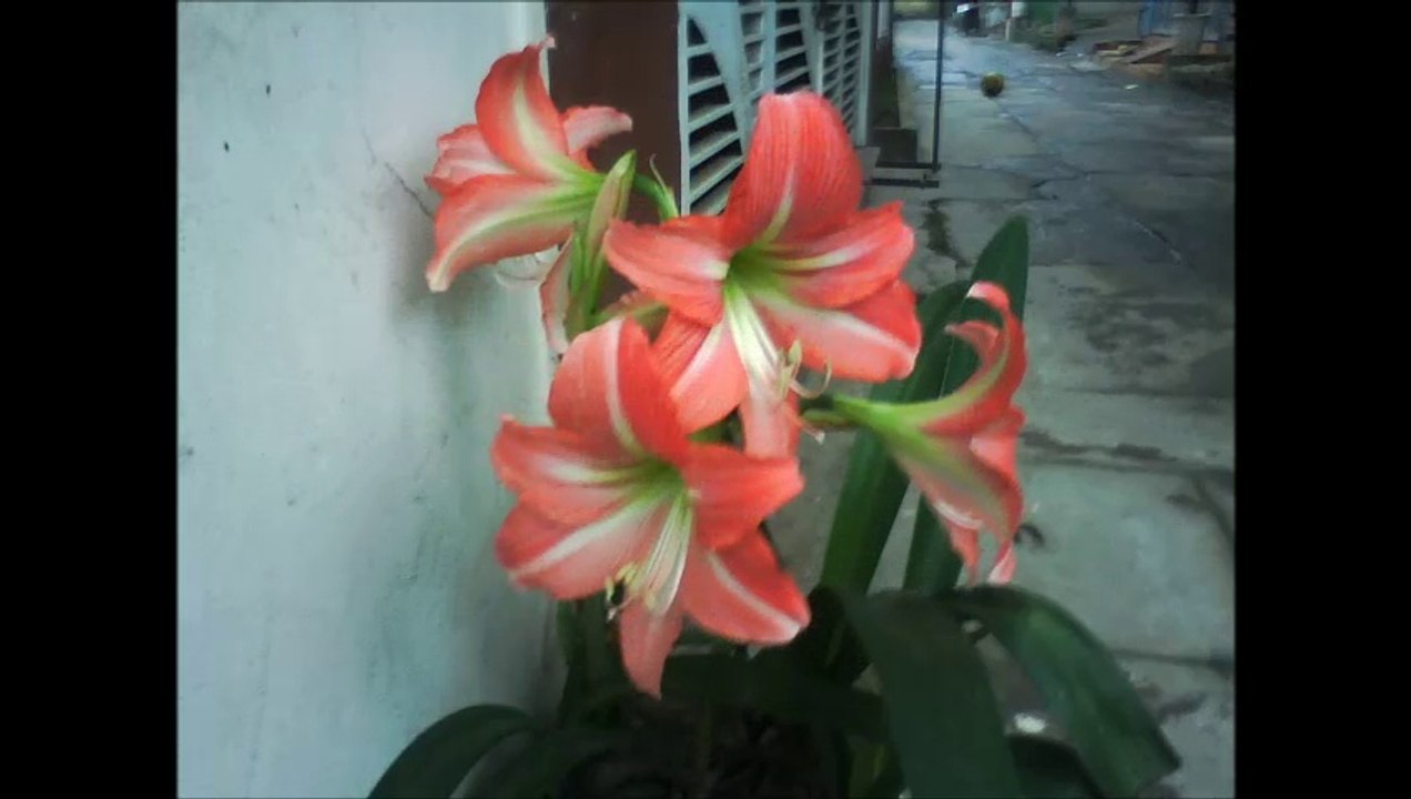 Cua nhom kinh hien dai