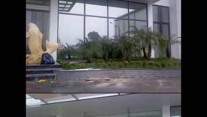 Cửa nhôm kính tự động