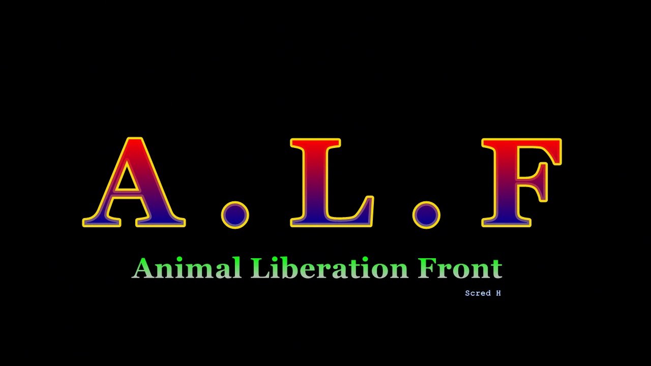 A.L.F : Dans un des plus grand élevage bovins aux Etats Unis, Californie ( à méditer )