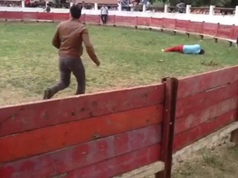 Vachette qui éclate un gars : coup de tête! KO direct...