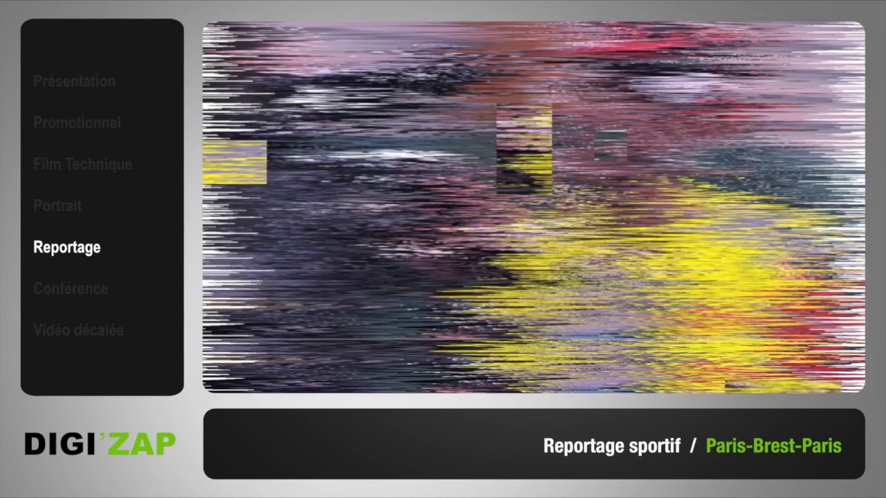 DIGIZAP DIGIPICTORIS 2014