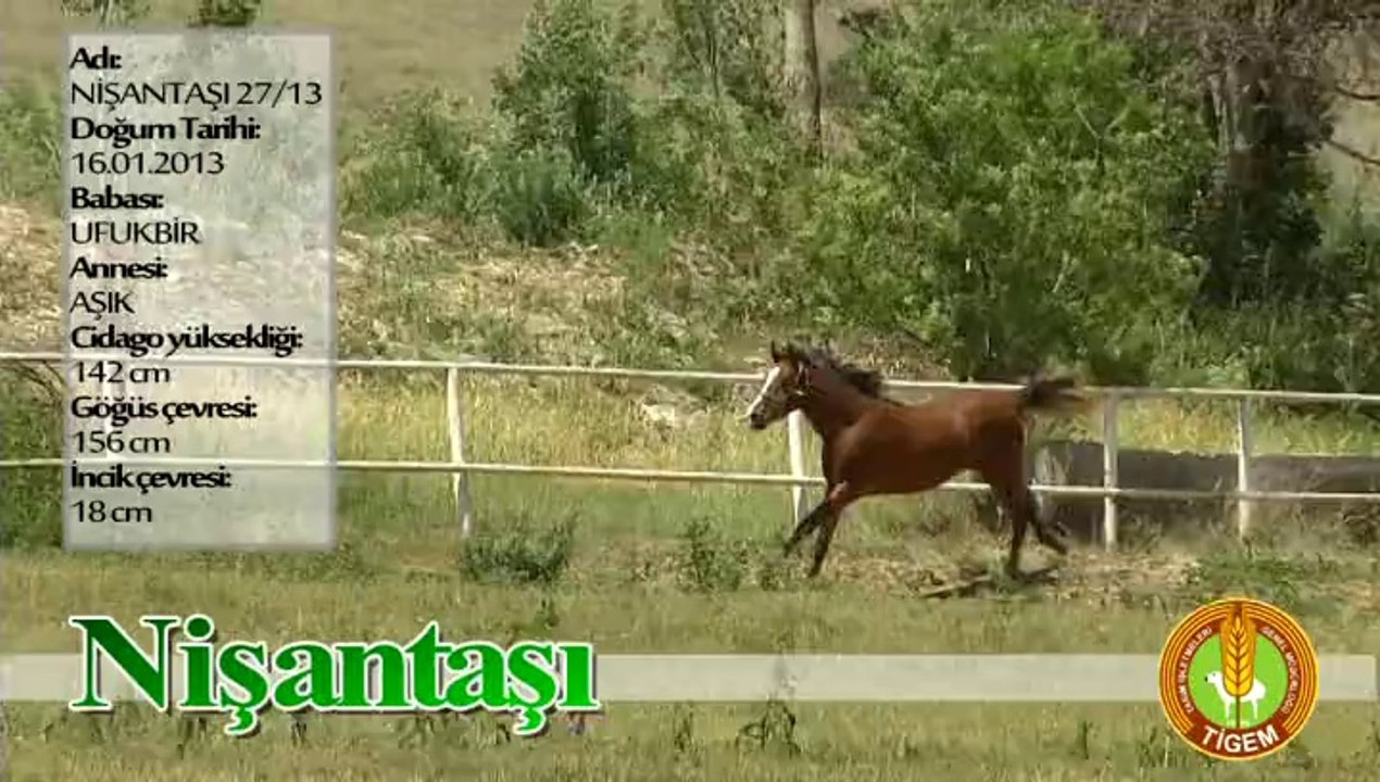 NİŞANTAŞI