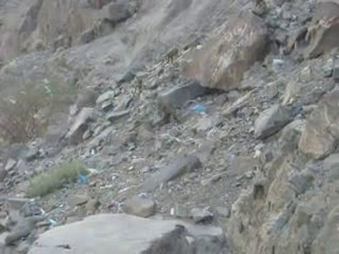 Ghar e Hira & Monkeys غارِ حِرا کے راستے مِیں بندر