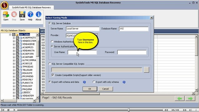 SysInfoTools MS SQL Database Recovery