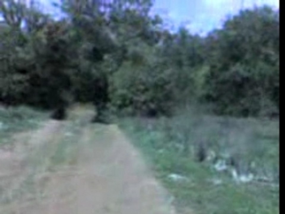 Cross avni 2