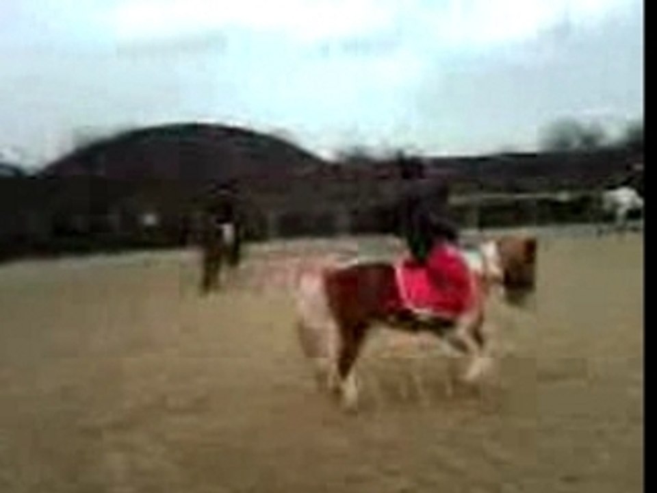 Entrainement 28