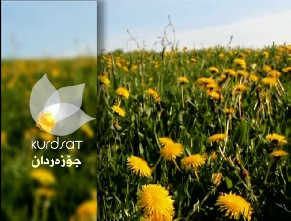 درامای سۆنگ یو ئەڵقەی 22