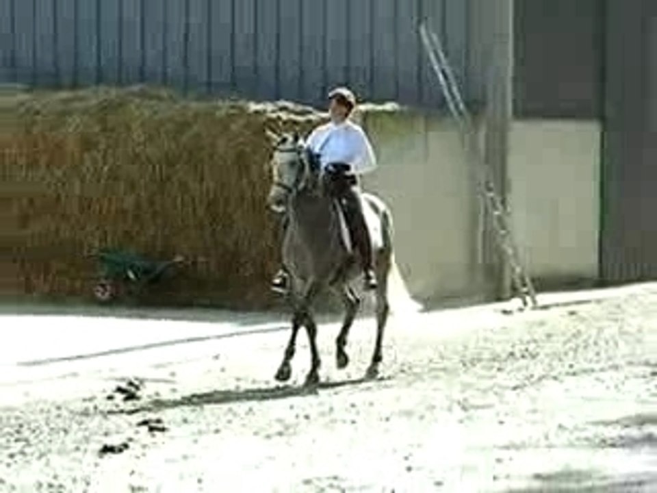 Saudade trot dehors