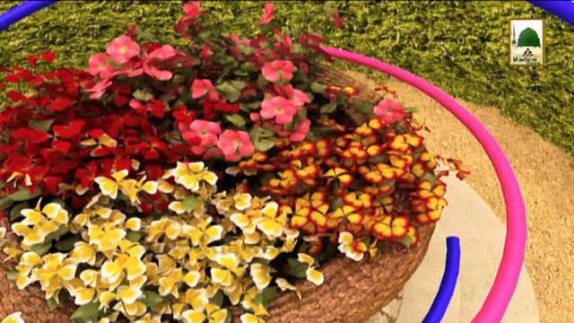 Madani Guldasta 243 - Shaqe-e-Saddar Huzoor Ka Mojaza Hai - Haji Shahid Attari (1)