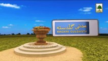 Madani Guldasta 243 - Safar e Meraj Aur Uskay Ahkaam - Haji Shahid Attari (1)