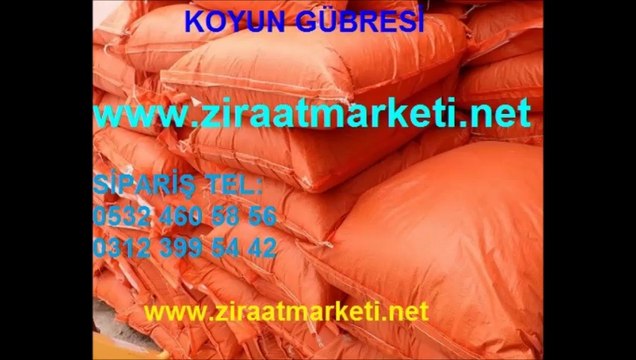 koyun gübresi,koyun-gübresi,koyun_gübresi,koyun gübresi fiyatı,koyun gübresi fiyatları,koyun gübreleri,yanmış koyun gübresi
