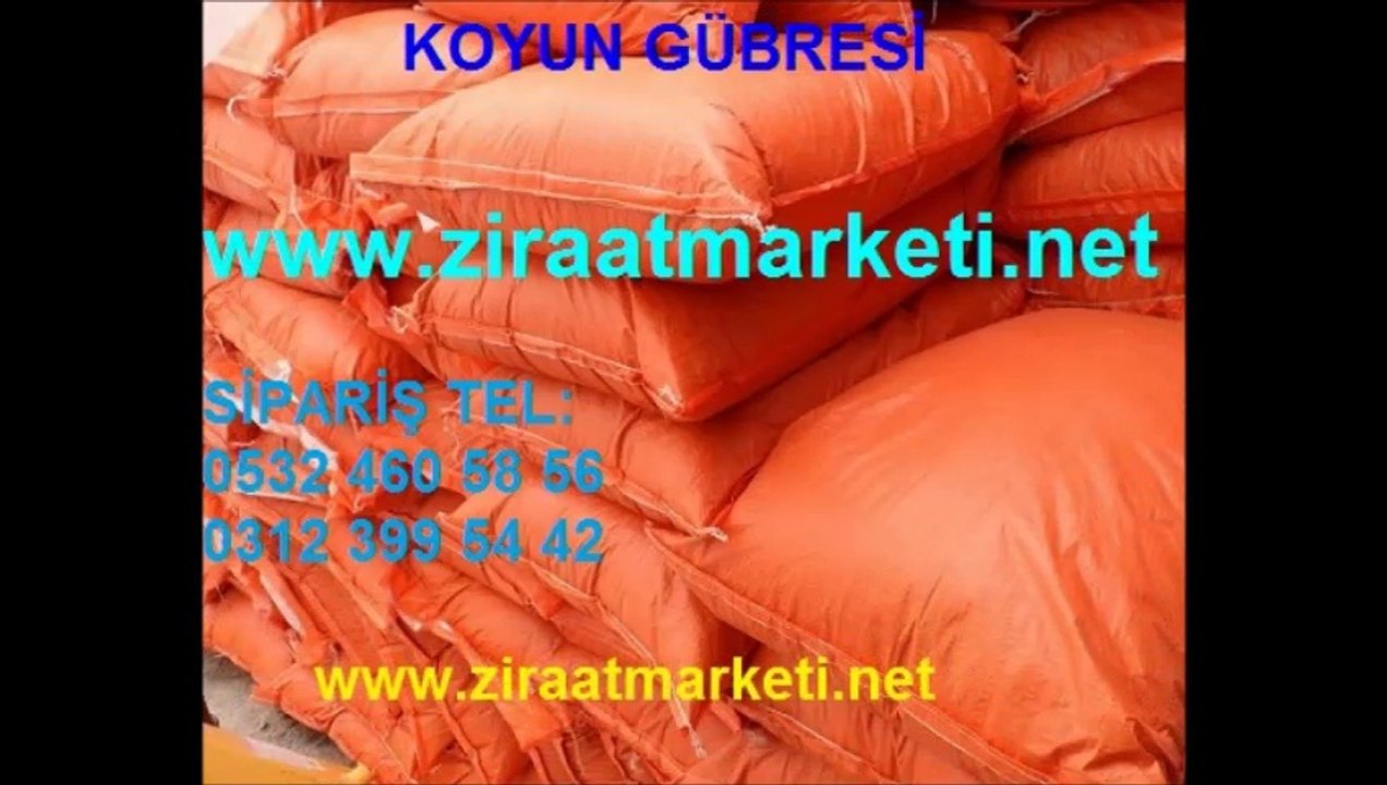 koyun gübresi,koyun-gübresi,koyun_gübresi,koyun gübresi fiyatı,koyun gübresi fiyatları,koyun gübreleri