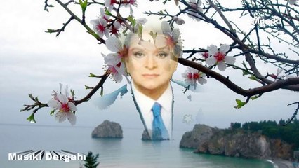 Zeki Müren ♫ Solsan da sararsan yine gül-penbe dehensin.HD