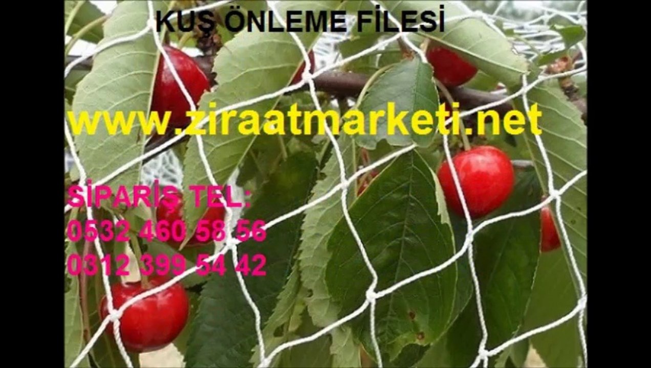 kuş filesi İstanbul, kuş ağı fiyatı, kuş ağı fiyatları, kuş filesi fiyat, balkon ağı balkon filesi, balkon fileleri, balkon filesi fiyatları, balkon filesi fiyatı