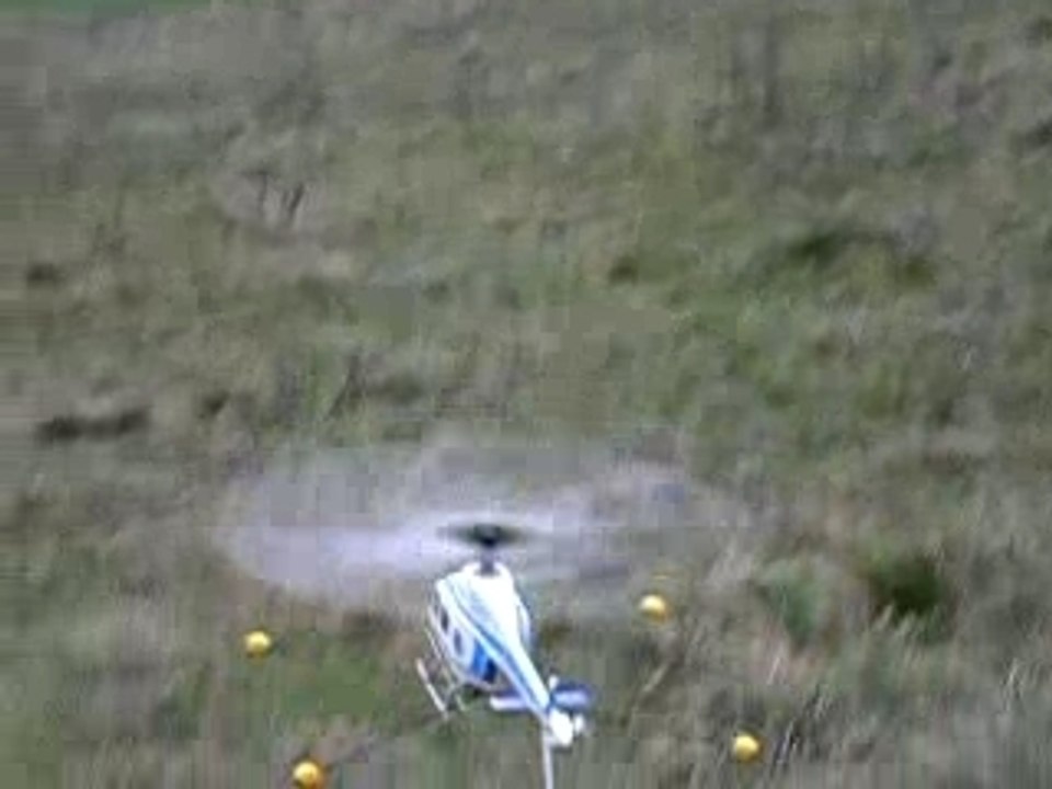 eco 7