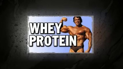 Whey Protein Isolado