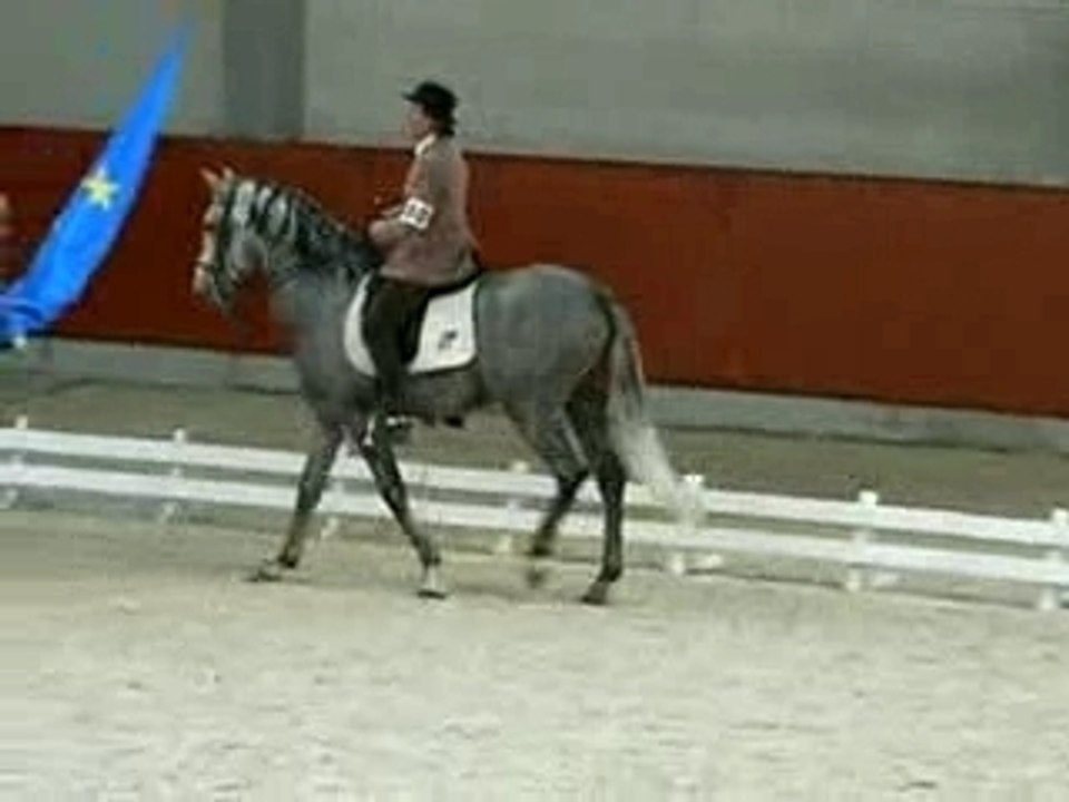 Saudade au pas