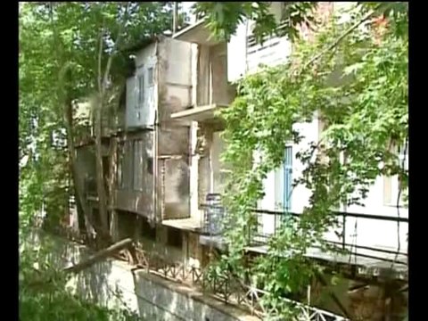 Αναστάτωση στη Λιβαδειά. Έκοψαν χωρίς άδεια πλατάνια στις όχθες της Έρκυνας