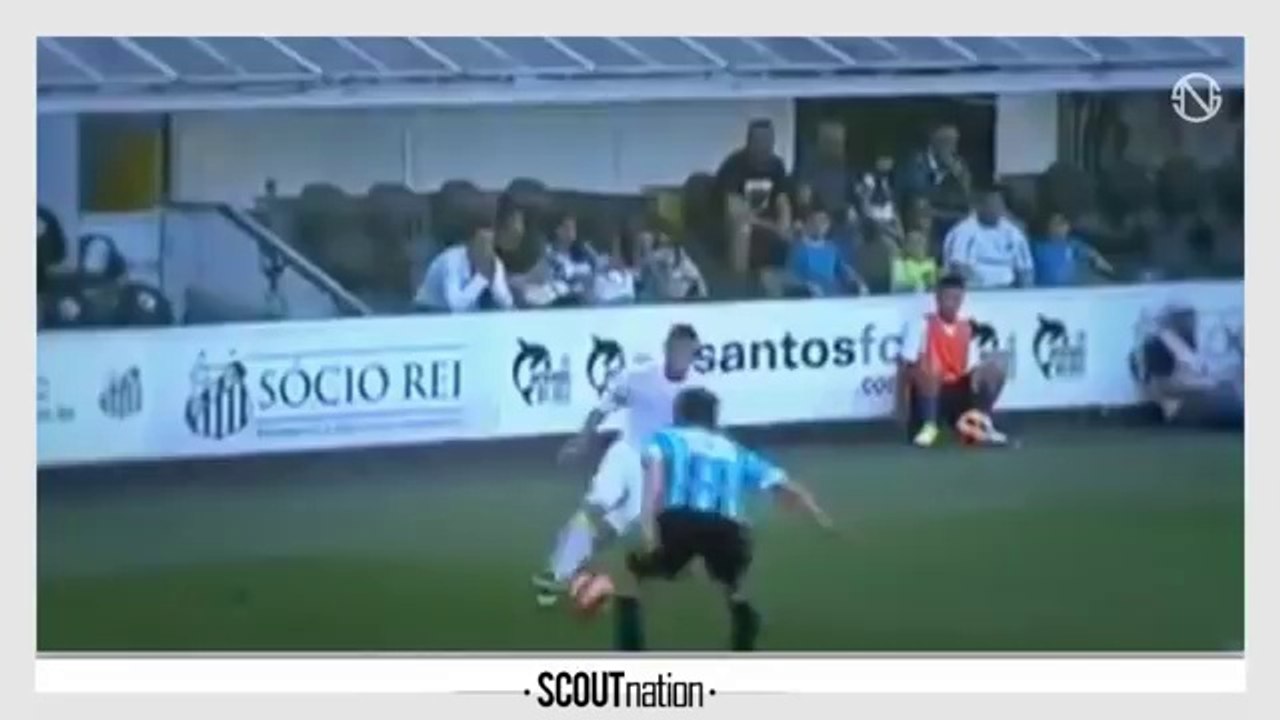 NEILTON | Goals, Skills & Assists | Santos | 2013 (HD)