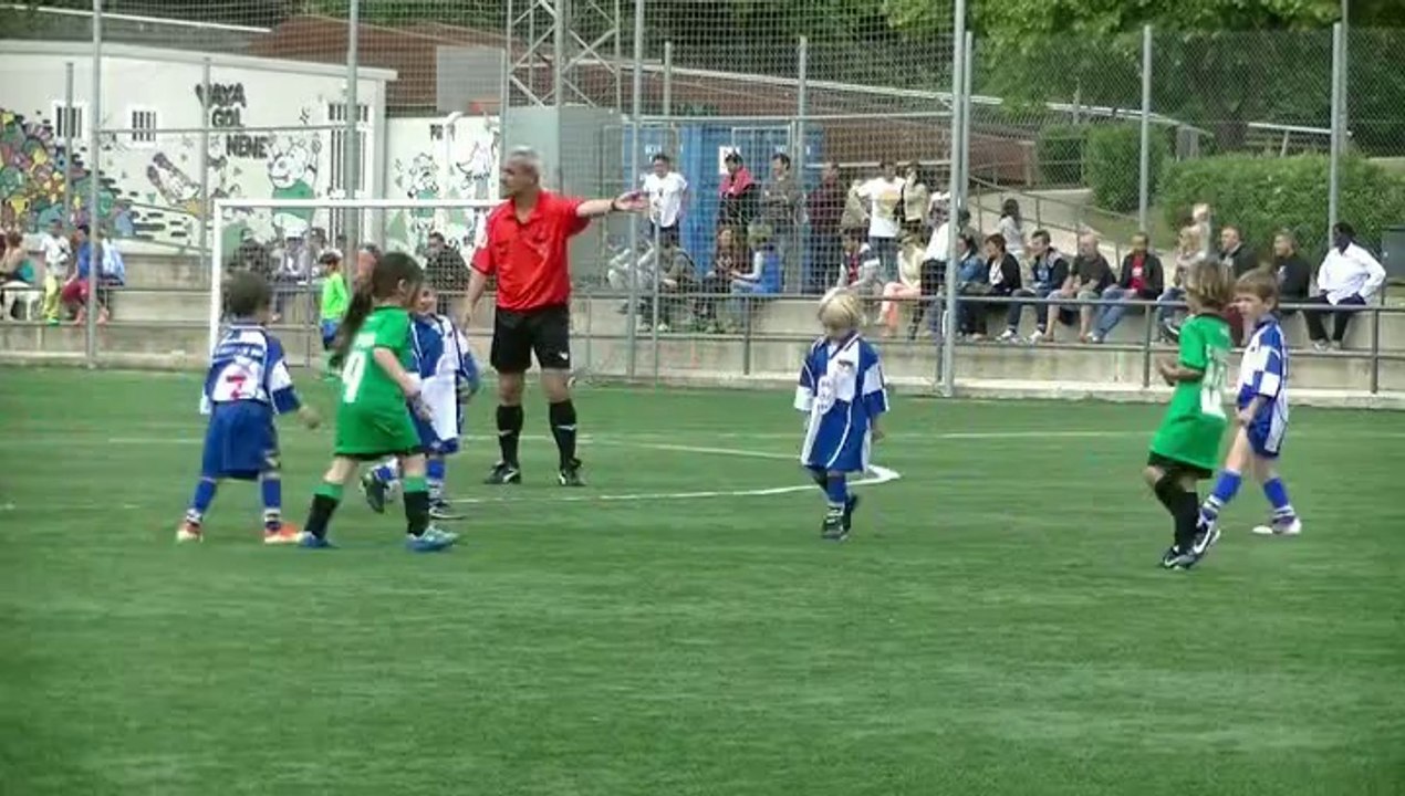 escuela finsobe v llica de vall