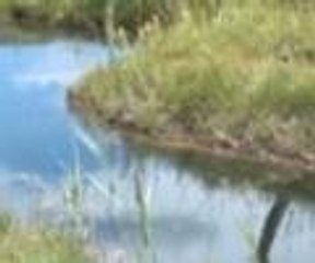 Tatilcilerin yeni gözdesi yüzen adalar