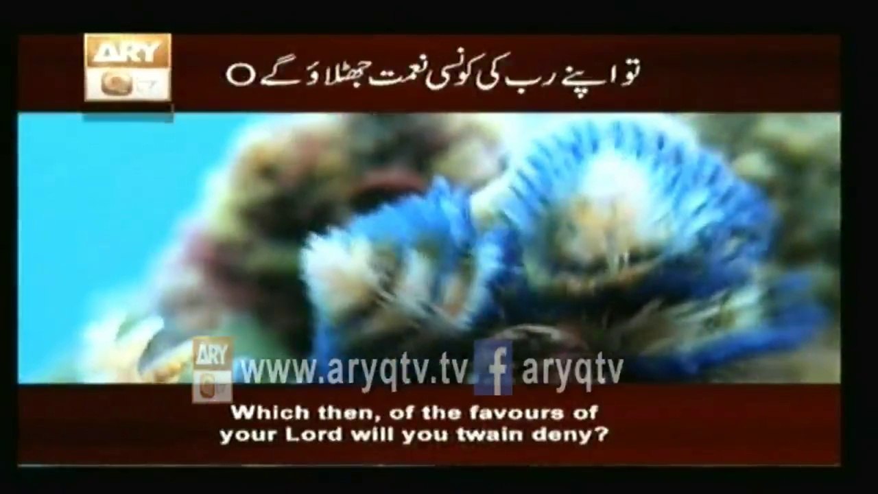 Sorah Rehman