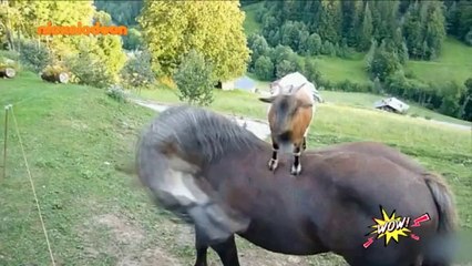 WOW! - Επεισόδιο #65