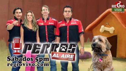 REPARA TODO 27 DE MAYO DEL 2014