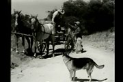 The Law Of The Wild -1934-ch6