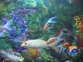 Aik Din Geo Ke Sath-28 May 2014