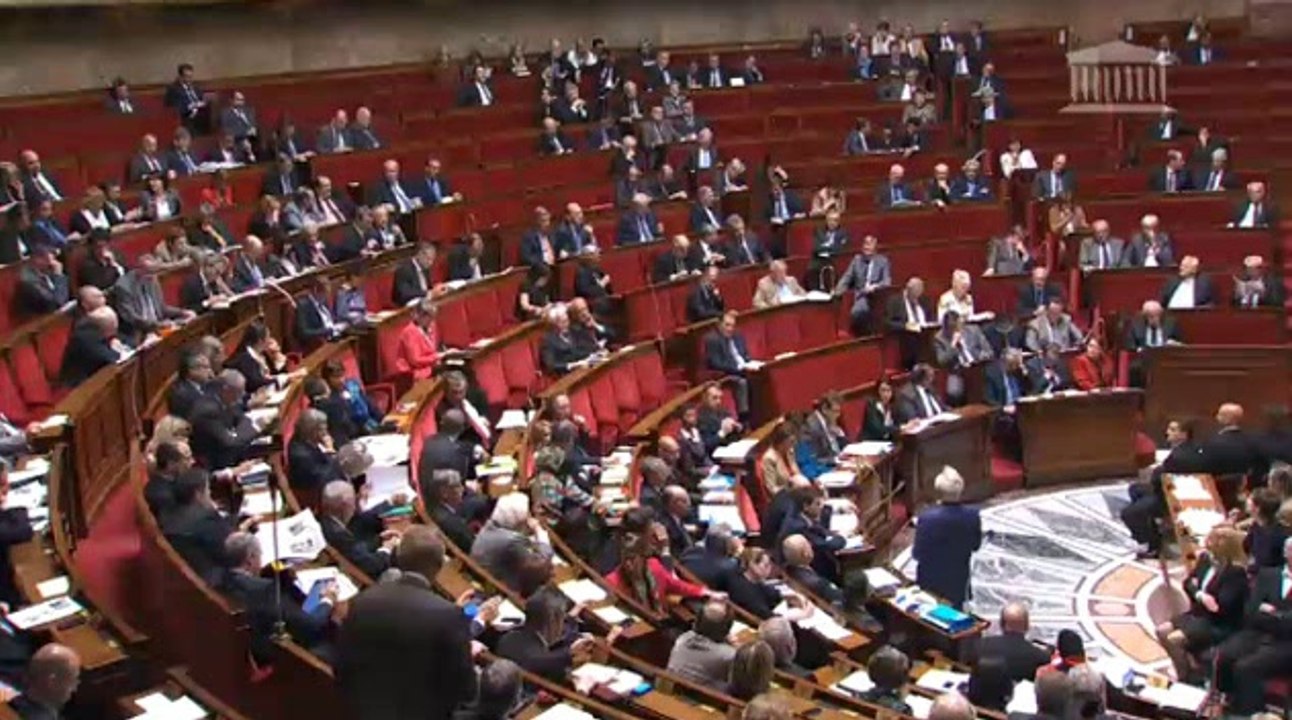 François Rebsamen, questions au gouvernement (28/05/2014)